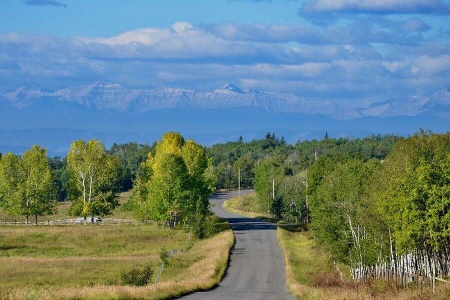 a road in alberta's foothills heads toward the rocky mountains, through forest that is changing to autumn colours